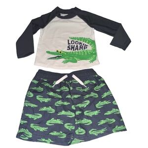 Toddler Boys size 2T Swim wear